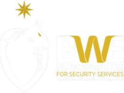 BWE Logo